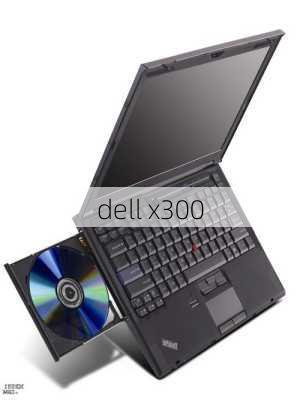 dell x300