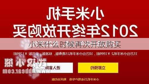 小米什么时候再次开放购买-第2张图片-模头数码科技网