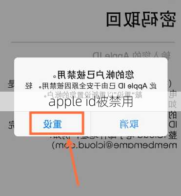 apple id被禁用-第3张图片-模头数码科技网