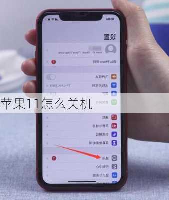 苹果11怎么关机-第3张图片-模头数码科技网