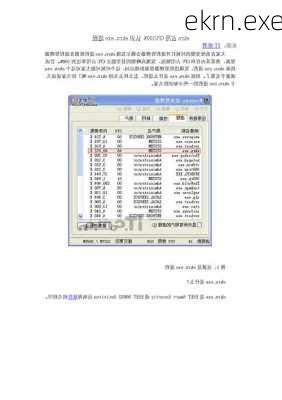 ekrn.exe-第2张图片-模头数码科技网