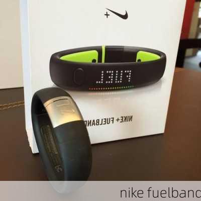 nike fuelband-第2张图片-模头数码科技网