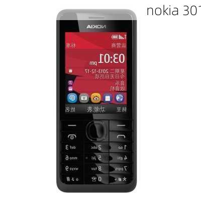 nokia 301