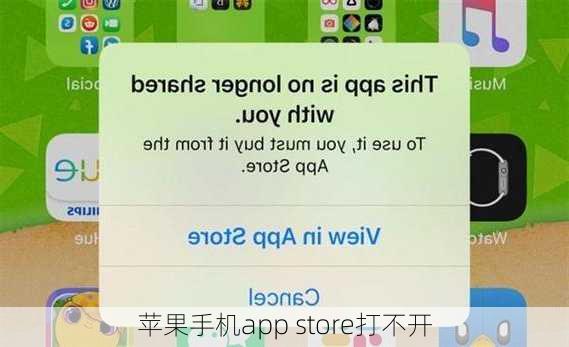 苹果手机app store打不开