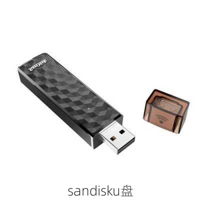 sandisku盘-第3张图片-模头数码科技网