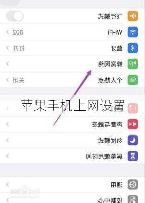苹果手机上网设置