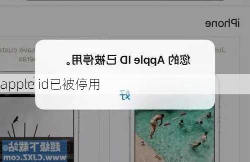 apple id已被停用-第3张图片-模头数码科技网