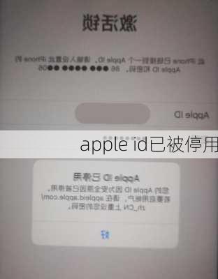 apple id已被停用-第2张图片-模头数码科技网