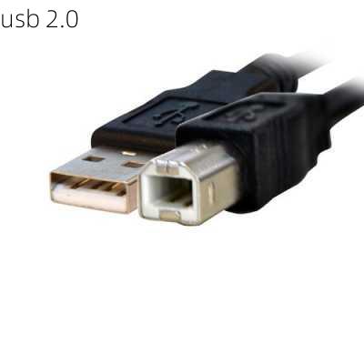 usb 2.0-第1张图片-模头数码科技网