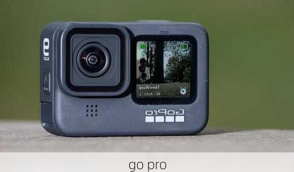 go pro-第2张图片-模头数码科技网