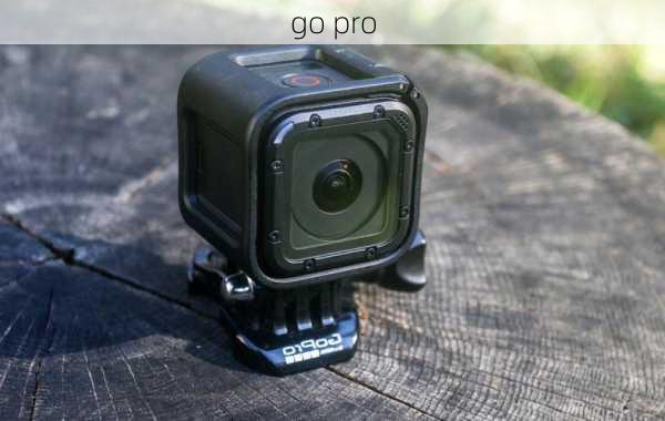 go pro-第3张图片-模头数码科技网