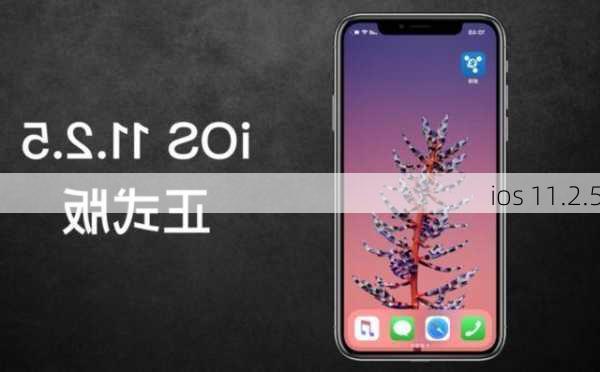 ios 11.2.5-第2张图片-模头数码科技网