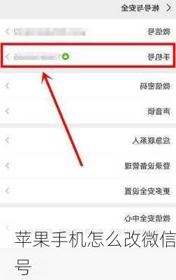 苹果手机怎么改微信号-第3张图片-模头数码科技网