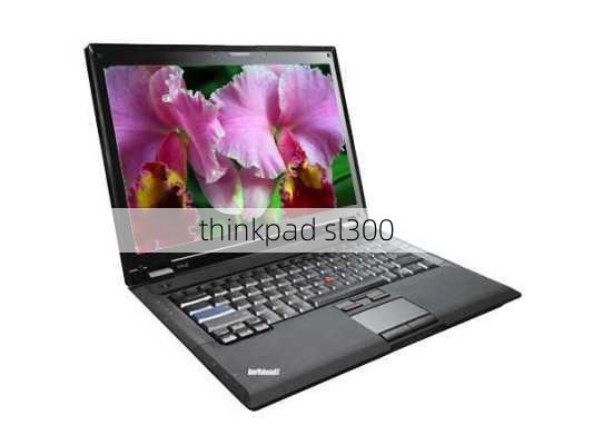 thinkpad sl300-第3张图片-模头数码科技网