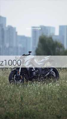 z1000-第3张图片-模头数码科技网