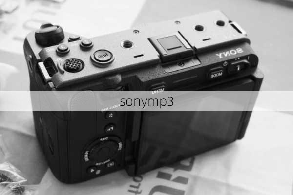 sonymp3-第2张图片-模头数码科技网