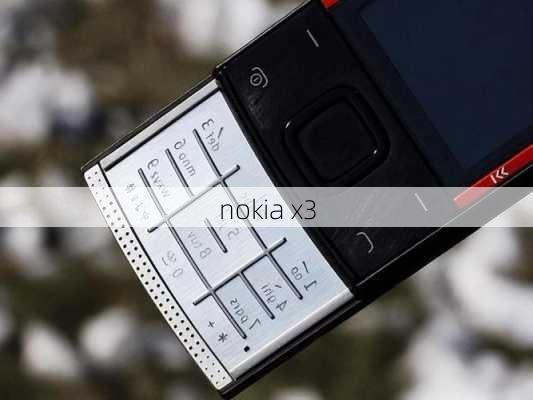 nokia x3-第1张图片-模头数码科技网