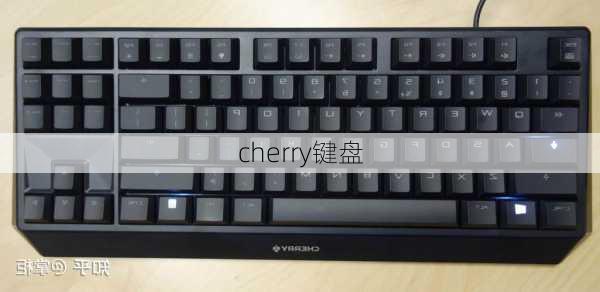 cherry键盘-第2张图片-模头数码科技网