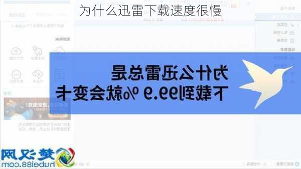 为什么迅雷下载速度很慢-第1张图片-模头数码科技网