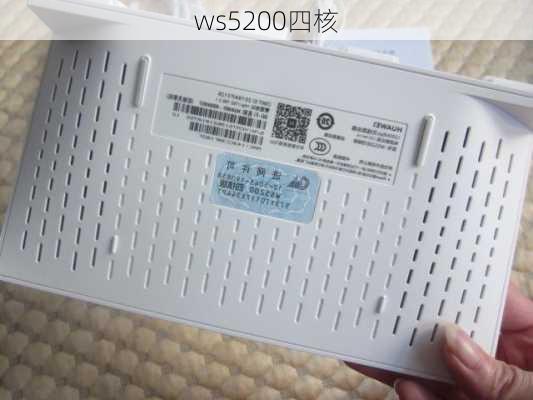 ws5200四核-第1张图片-模头数码科技网