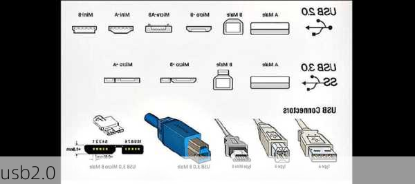 usb2.0-第3张图片-模头数码科技网