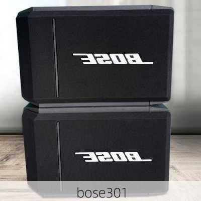 bose301-第1张图片-模头数码科技网