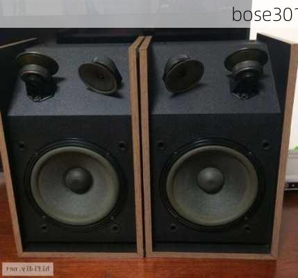 bose301-第2张图片-模头数码科技网