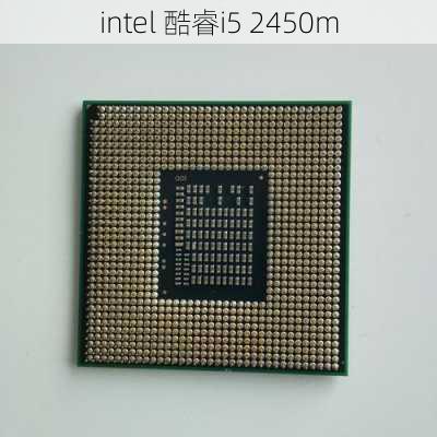 intel 酷睿i5 2450m