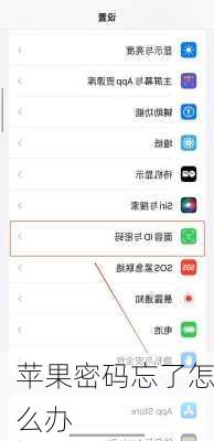 苹果密码忘了怎么办-第2张图片-模头数码科技网