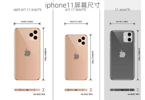 iphone11屏幕尺寸-第2张图片-模头数码科技网