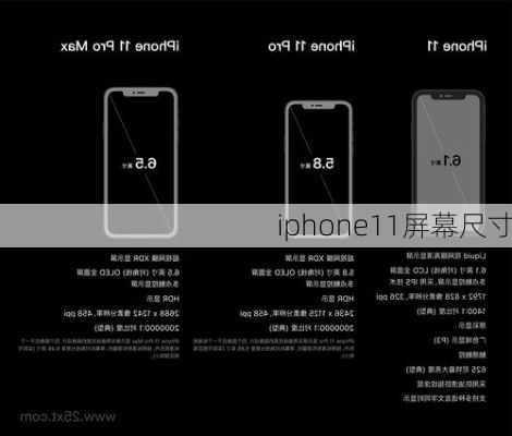 iphone11屏幕尺寸-第3张图片-模头数码科技网