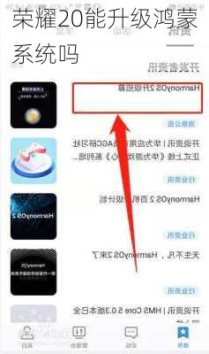 荣耀20能升级鸿蒙系统吗-第3张图片-模头数码科技网