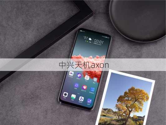 中兴天机axon-第2张图片-模头数码科技网