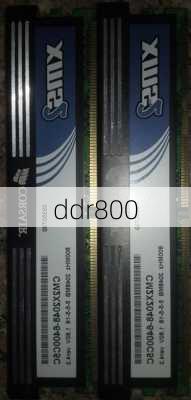 ddr800