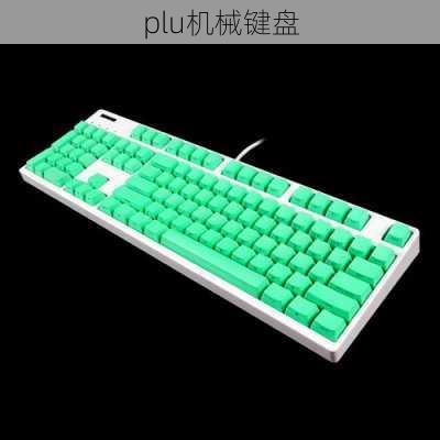 plu机械键盘-第3张图片-模头数码科技网