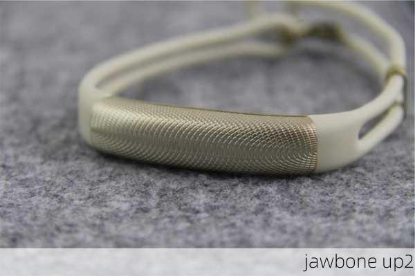 jawbone up2-第1张图片-模头数码科技网