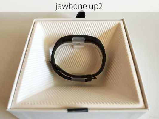 jawbone up2-第2张图片-模头数码科技网