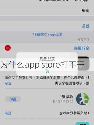 为什么app store打不开-第2张图片-模头数码科技网