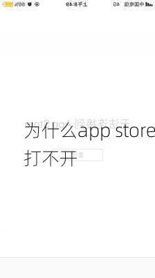 为什么app store打不开-第1张图片-模头数码科技网