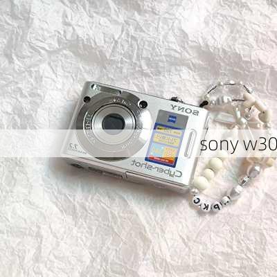 sony w30-第3张图片-模头数码科技网