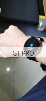 GT PRO-第3张图片-模头数码科技网