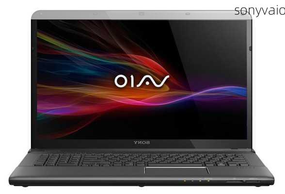 sonyvaio-第1张图片-模头数码科技网