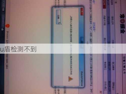 u盾检测不到-第2张图片-模头数码科技网