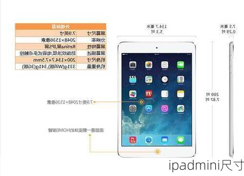 ipadmini尺寸-第2张图片-模头数码科技网