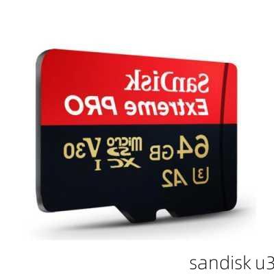 sandisk u3