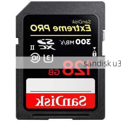 sandisk u3-第3张图片-模头数码科技网