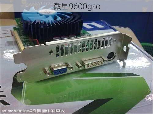 微星9600gso-第3张图片-模头数码科技网