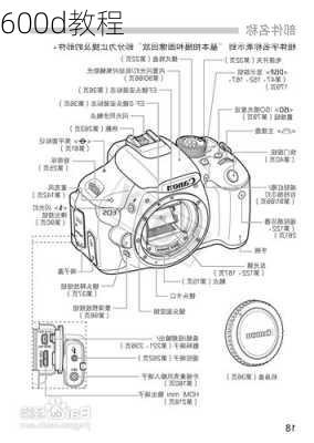 600d教程