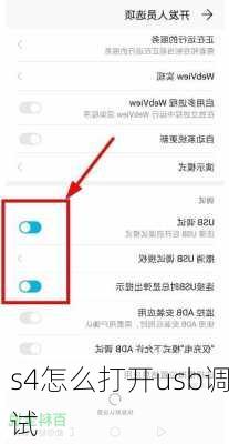s4怎么打开usb调试-第3张图片-模头数码科技网