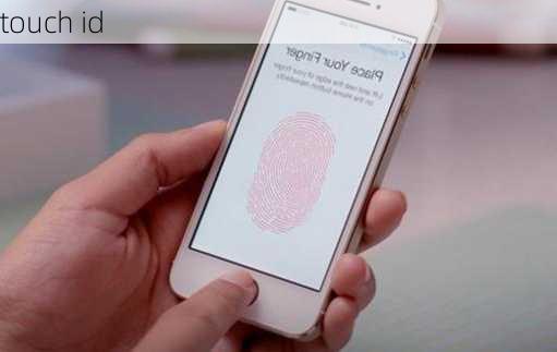 touch id-第2张图片-模头数码科技网